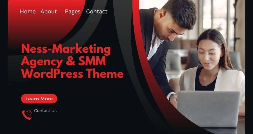 Ness-Marketing Agency & SMM WordPress Theme