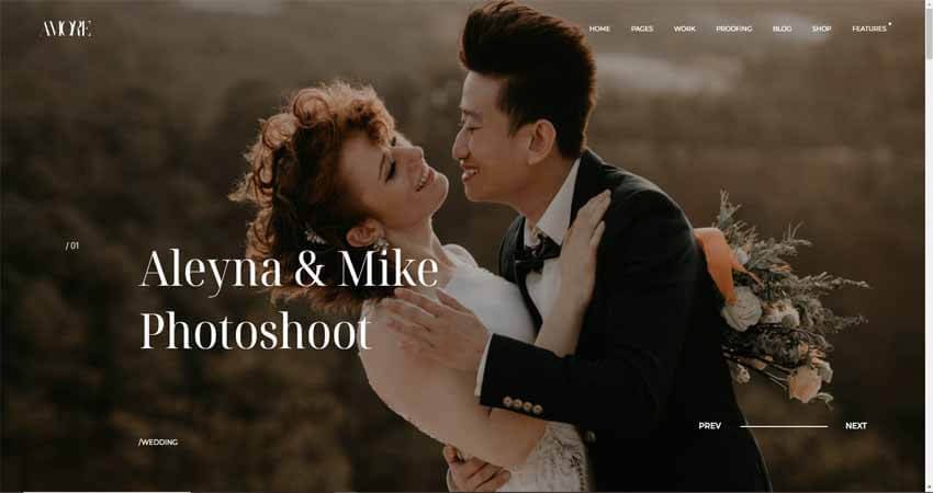 Amore-Elegant Wedding Photography Theme