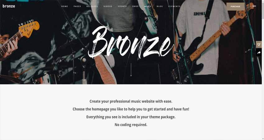 Bronze- A Professional Music WordPress Theme
