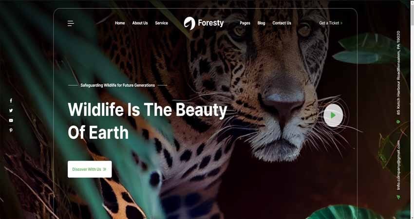 Foresty- Charity and Ecology WordPress Theme