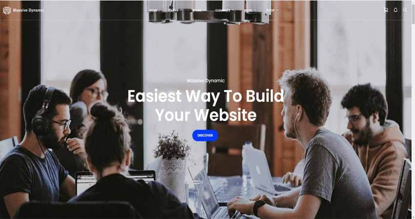 Massive Dynamic- WordPress Website Builder